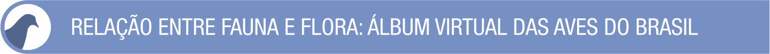 Plano de Aula 2