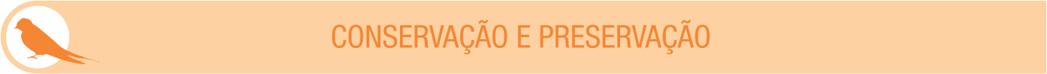 Plano de Aula 3