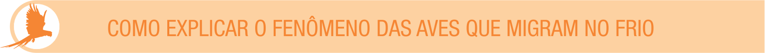 Plano de Aula 7