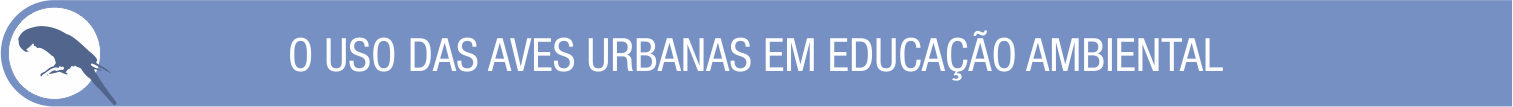 Plano de Aula 8